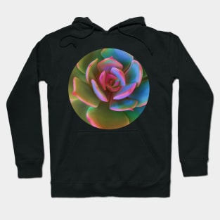 Pink Succulent Hoodie